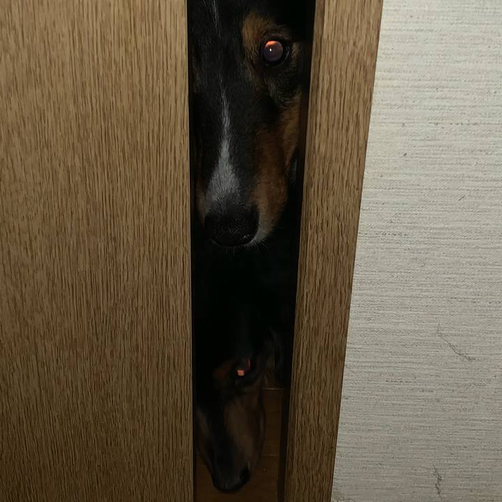 Ad38e0bb 6ba8 426d a621 b970a827d112 1579440658600