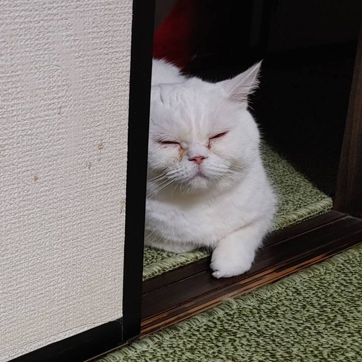 Ad38e7a9 92b3 424d 844e c4c6a8a543a9 1644054897617