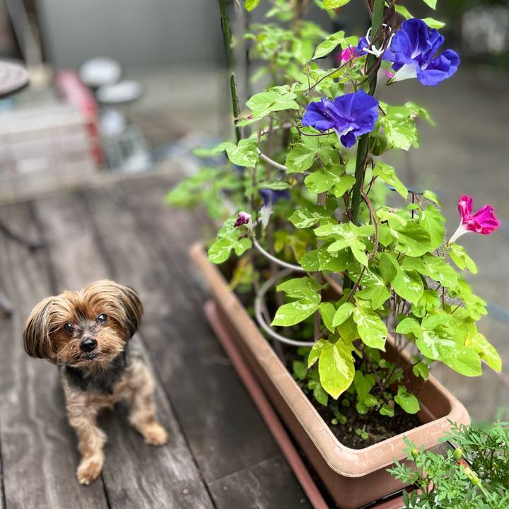 Ad38ee8f 63cc 46b2 8882 703939b7be52 1658526243222