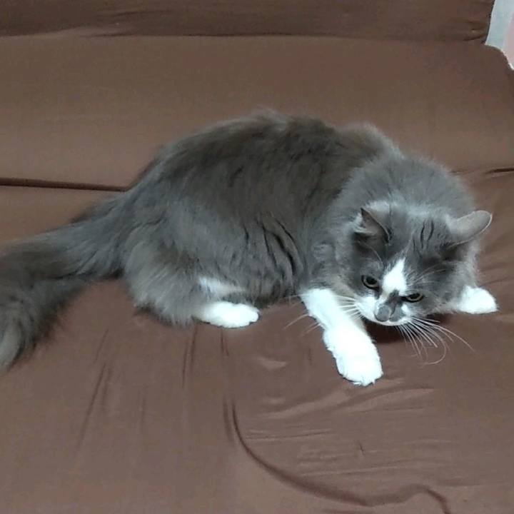 Ad393b4f 8750 4608 a8ac da5b532a9d7e 1713774964772