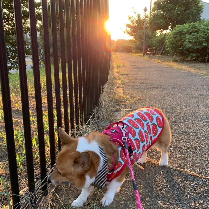 Ad394078 8b11 465c 9e1b 0d5cacfdb8ae 1597094448035