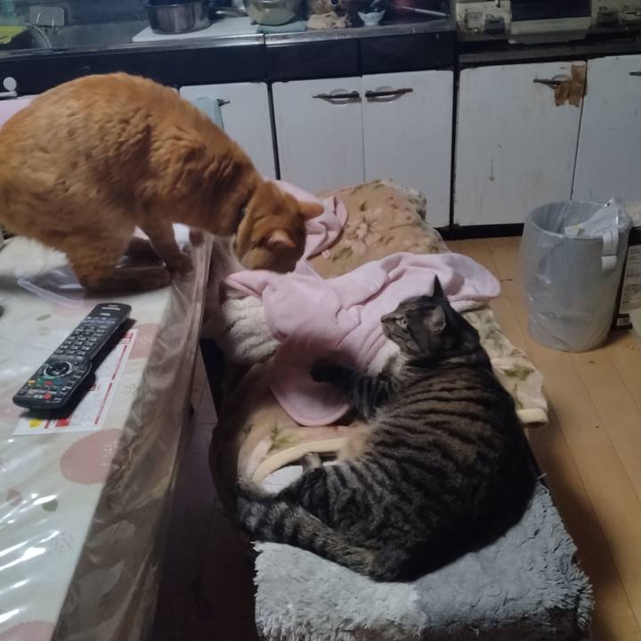 Ad39495d 3ffd 4139 ad21 67d5ddd3c096 1676586164853