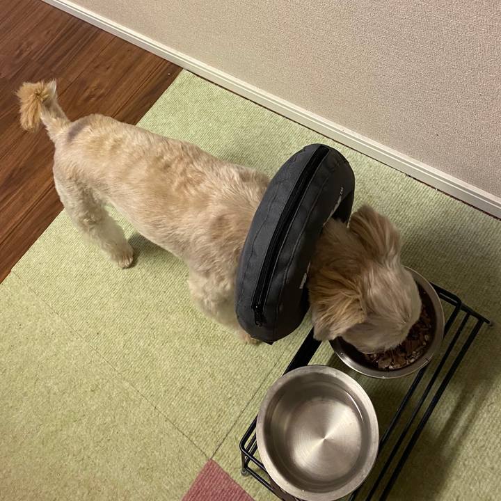 Ad39567f 2f76 4a97 a349 3253145b7e06 1573432185666