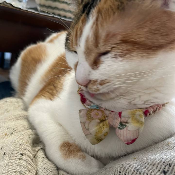 Ad396036 fc9d 4044 b461 1b17486864ec 1649563606096