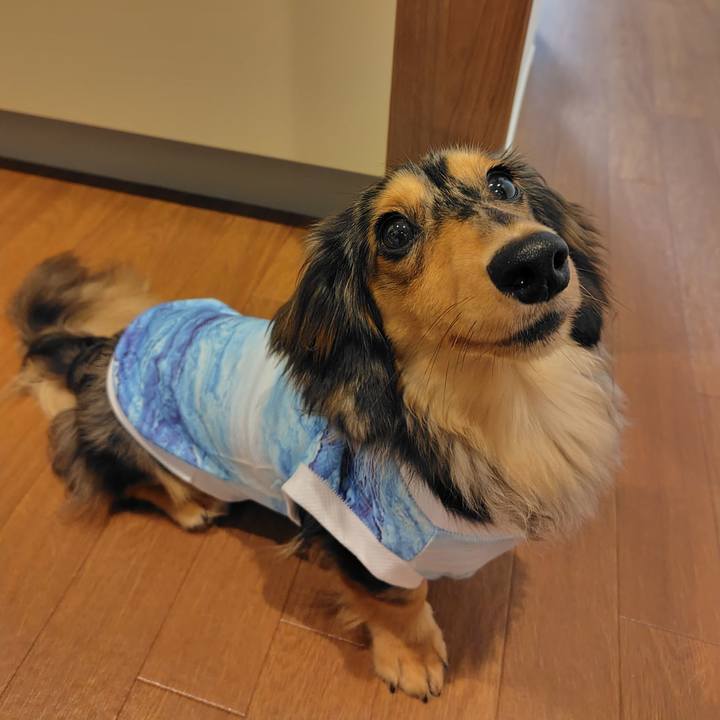 Ad3965a5 3dd8 4508 88b9 729d015ef4f0 1720525990780