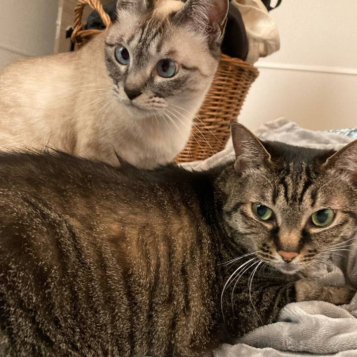 Ad399aa1 3aa8 4f0c bd8e 96d557ea1129 1620972906427