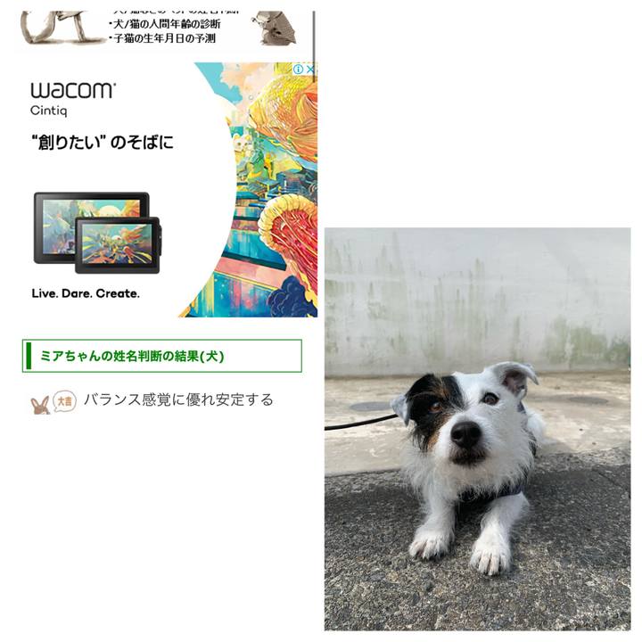 Ad39d010 d451 477c 8149 8fe086791c21 1652703295105