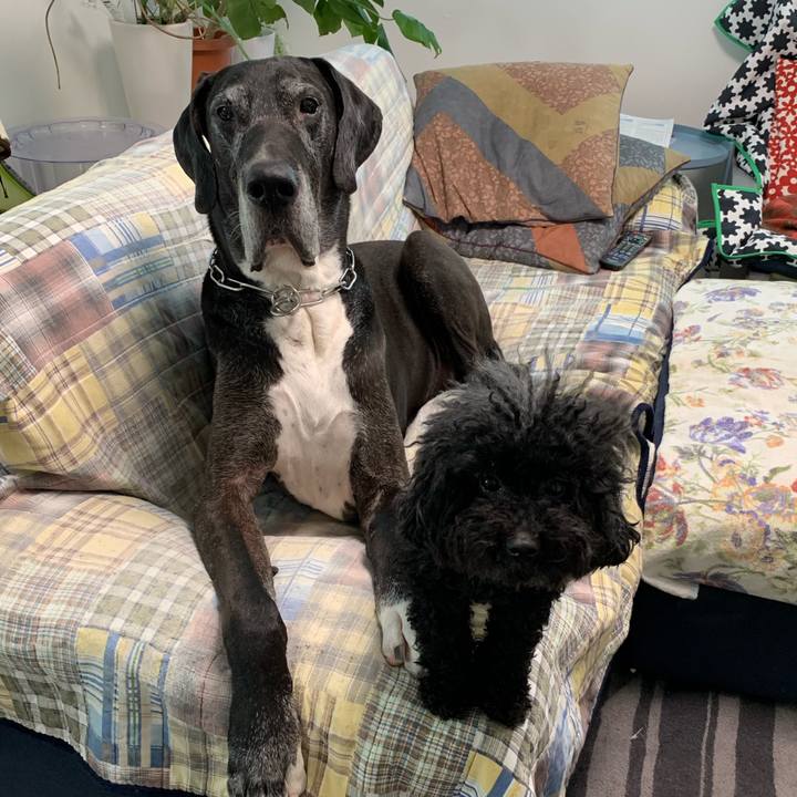 Ad39f6ff f695 40bd b6e1 2a9e2cd990d0 1560809626733