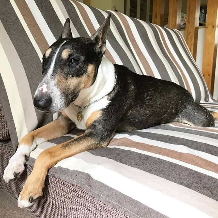 Ad3a0258 1d2b 491f 98c5 4b0c3cd90d80 1528524431675