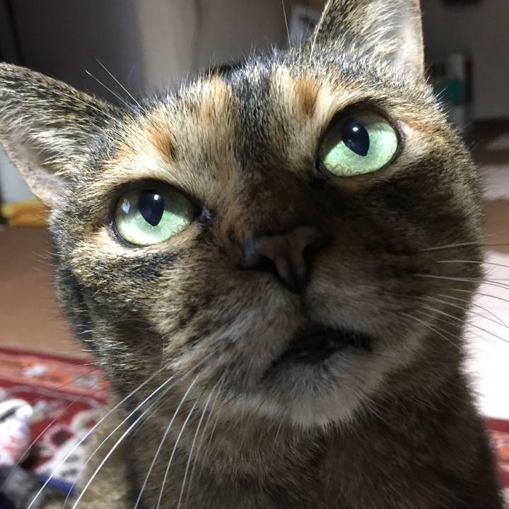 Ad3a1524 de98 48e6 bf5e 74b179854722 1538306478556