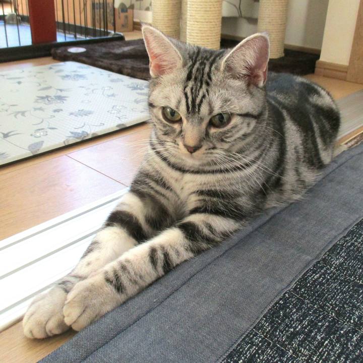 Ad3a4207 6ea6 49db 81da 648976ba3dfe 1547639497657