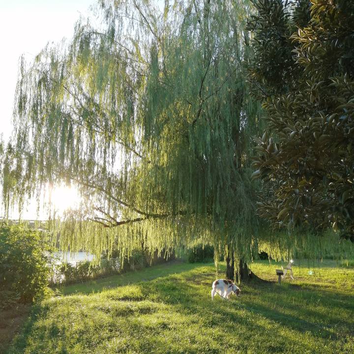 Ad3a599b 6029 4fc5 91a6 14077bbf7ed5 1568030690242