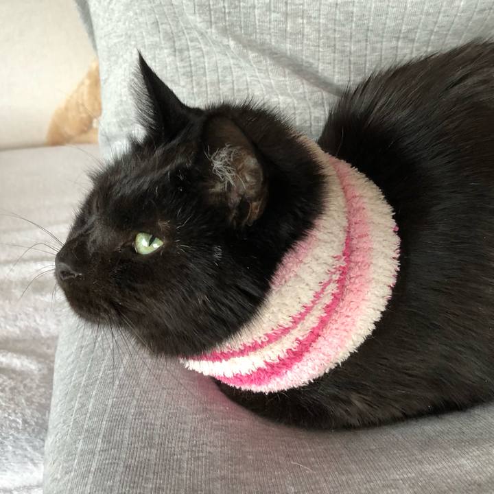 Ad3a5af2 b223 45a2 b776 306b55c7bb46 1587459131442