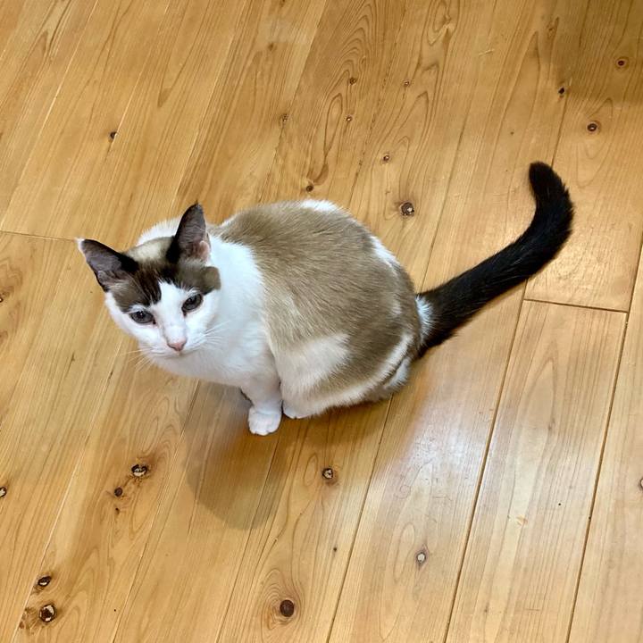 Ad3ad779 e44a 4aeb 80da dc75d131a496 1640689254006