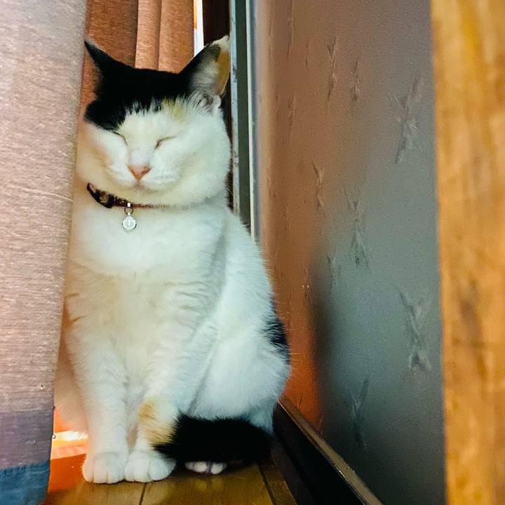 Ad3b5277 715a 4218 ba5f 3bd519b5aed0 1652967349203