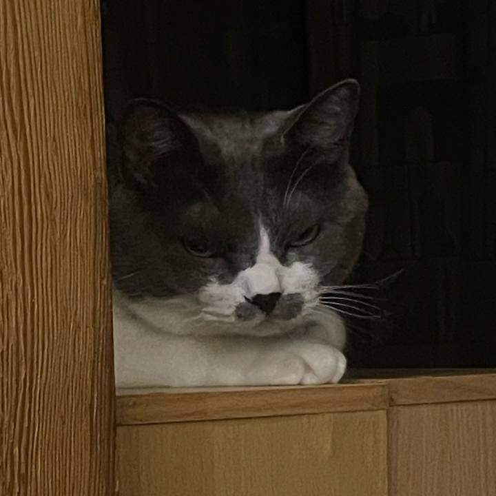 Ad3b6454 ea34 4a55 b753 14e9888bb991 1695289592363