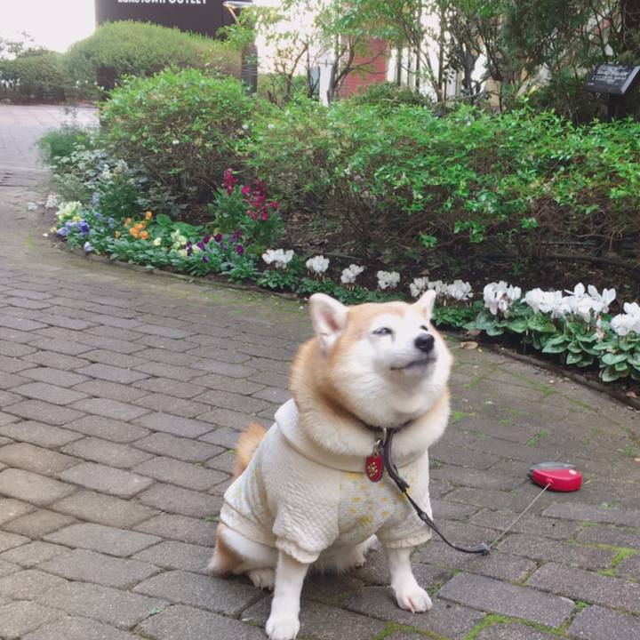 Ad3bac95 dd2a 4d0a a683 edb6d7bdd92c 1576839922626