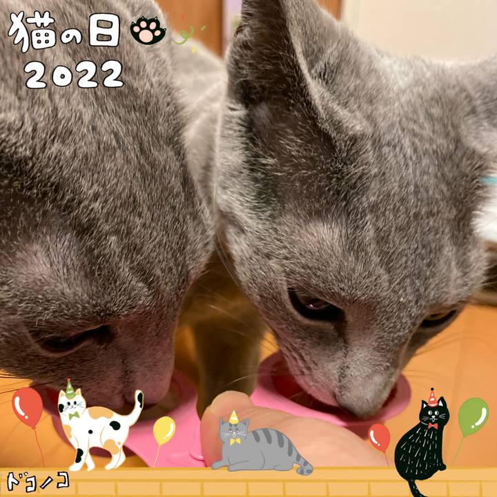 Ad3bce00 0b76 45ad 953a 900c61074243 1645533616285