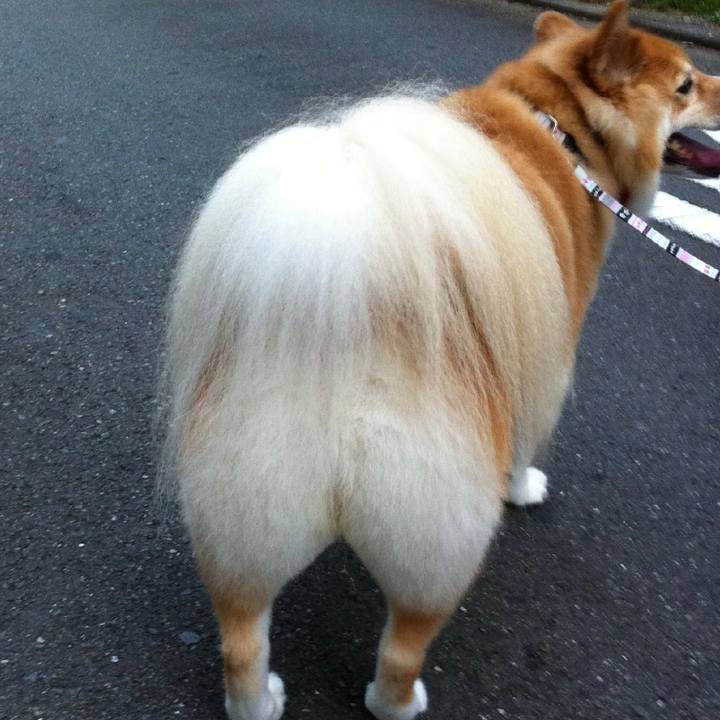 Ad3be6ce 8ef5 4807 9066 38ff6f3cb7d5 1613379884135