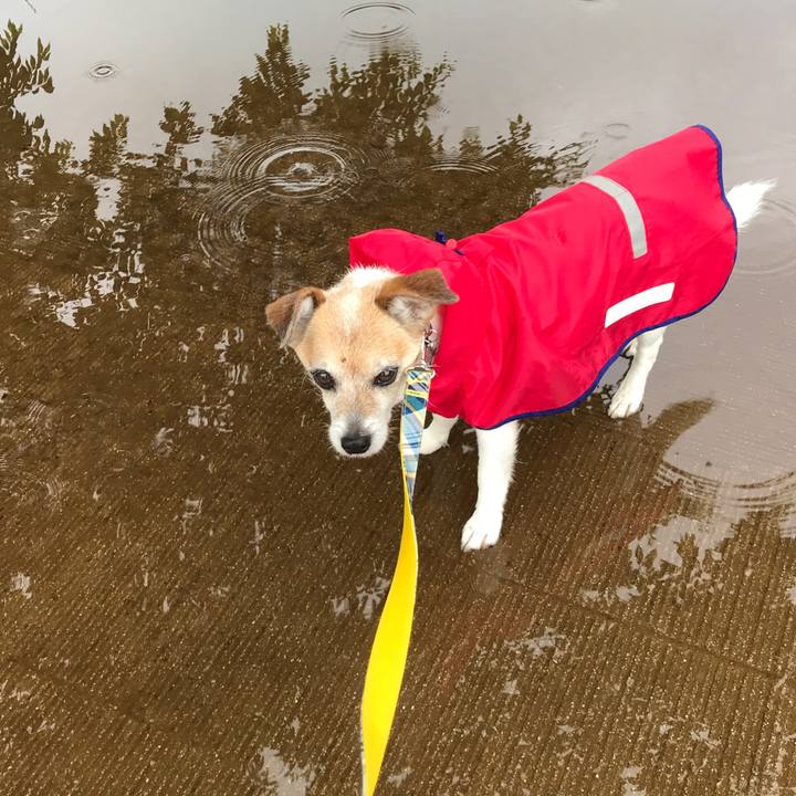 Ad3c2762 661e 42be a2c1 8a7fb36c8879 1653627638565