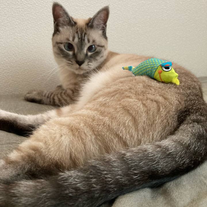 Ad3c39bc 4b69 4a90 9313 6e7b40c6a8d5 1625100794676