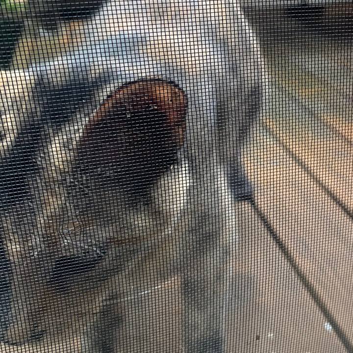 Ad3c4385 8ed3 4016 b0a6 71e1b9f49784 1593686140471