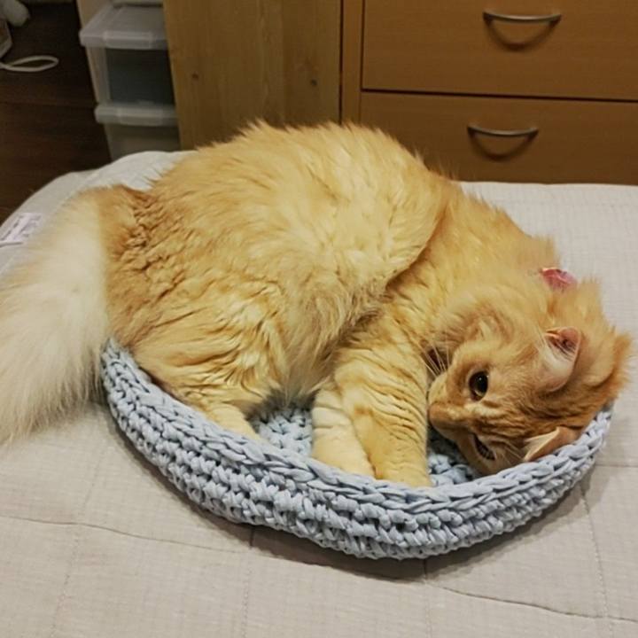 Ad3c484d 9c2e 4fc5 875f 4e11e35520c7 1662387817046