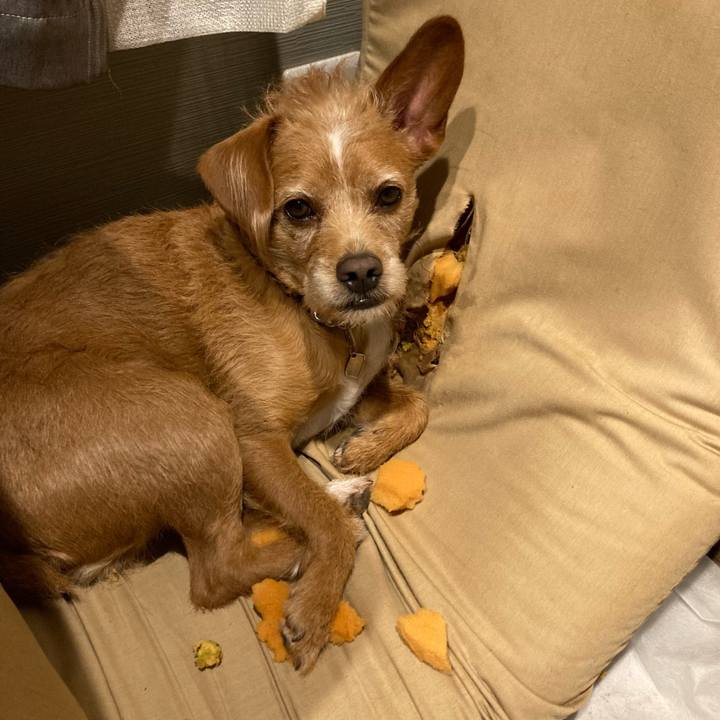 Ad3c57cc b07f 4f0a ad59 d119ba36e6bb 1640234611634