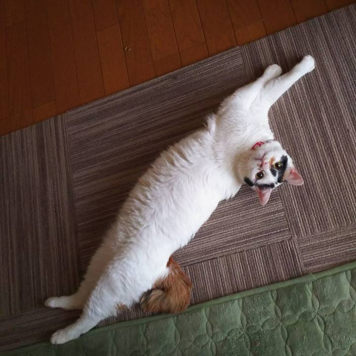 Ad3c707f 36d5 4874 a545 299499b4a6d1 1510265060896