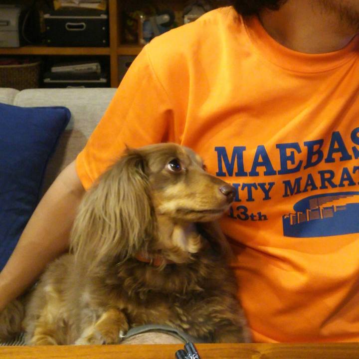 Ad3c7f1d 8f23 4ba2 9d62 87b6d729654f 1528549114096