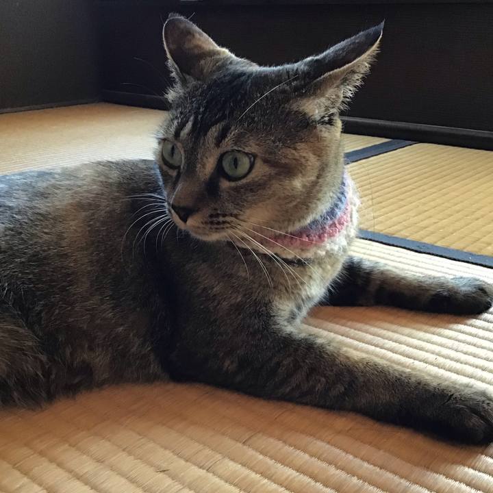 Ad3cbf9b f278 40e9 875f 63e1617aa014 1626589973931