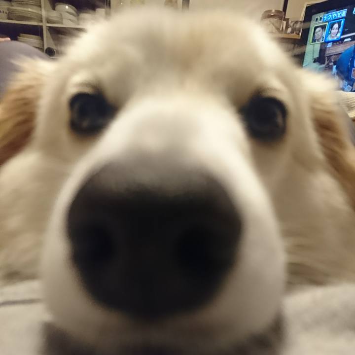 Ad3cdcb8 2c5f 4fd4 a097 7b00f510b8bc 1509622064191