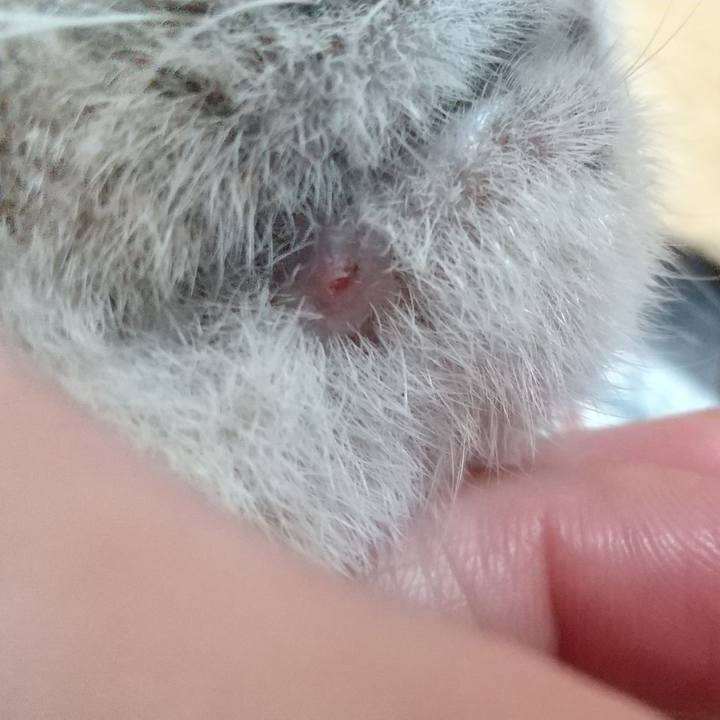 Ad3cddae 18f5 4ee4 94c1 00115de489de 1634309862093