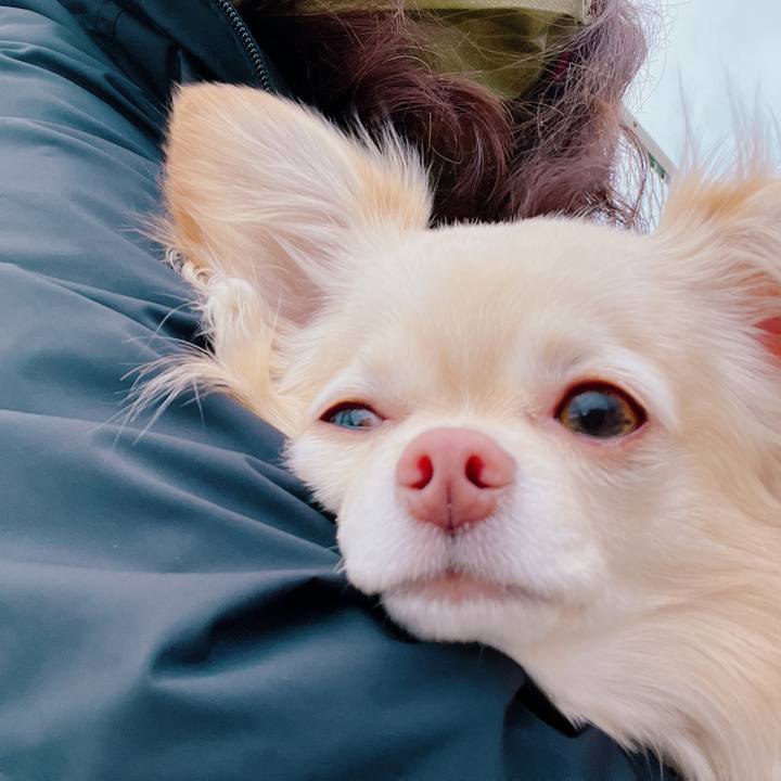 Ad3d4087 e7f7 4de9 afaa 70f99daadaca 1648538008757