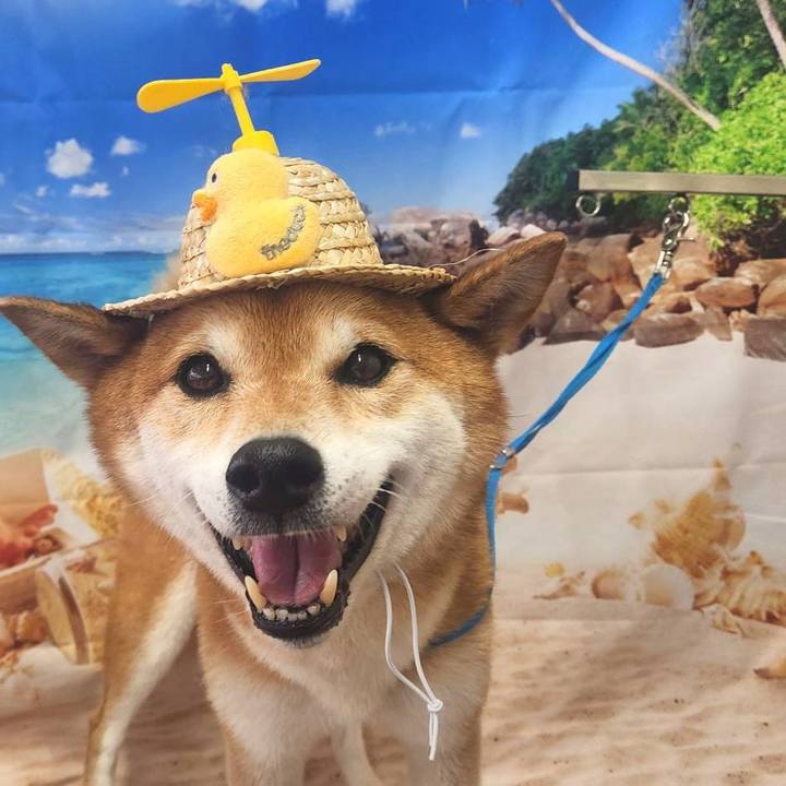 Ad3d62ba 6cc8 4e7b aed9 fe6e024b77f9 1720681405842