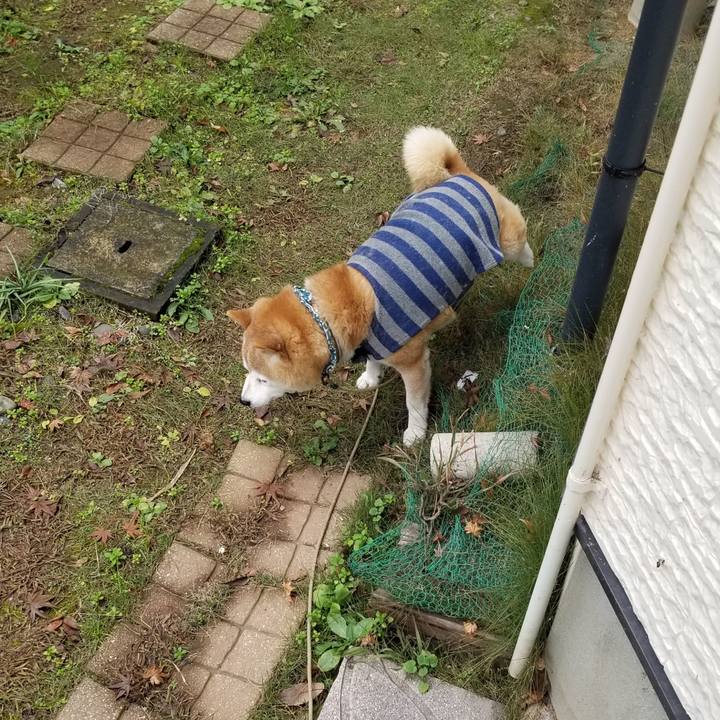 Ad3d9734 9f10 4c39 948b 9d20a6815be4 1702428716697