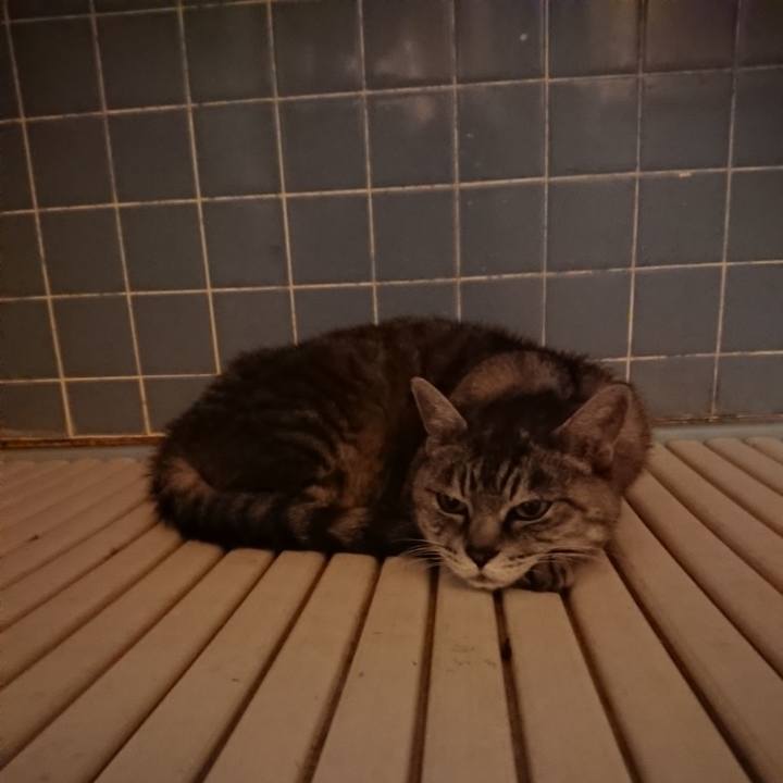 Ad3db0f9 bfeb 4f70 9bf4 4a6703feec3a 1570871296863