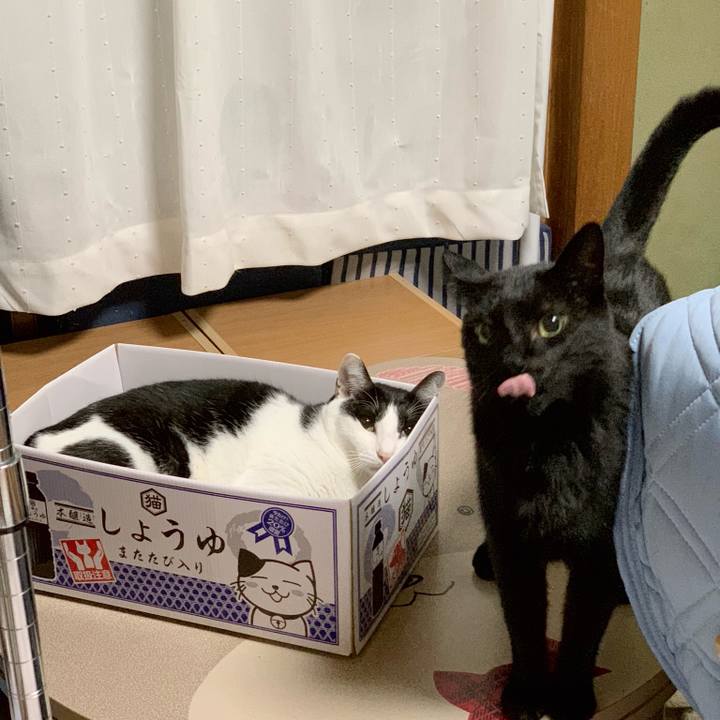 Ad3db264 8a80 472b b508 b3f22a7fe828 1540260556574