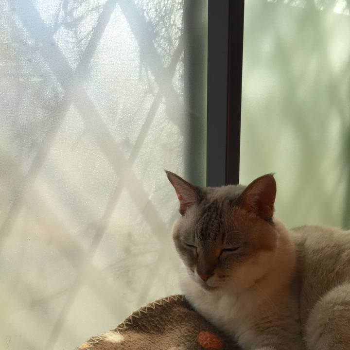 Ad3dc726 7a40 4f80 bd31 350a5ec8c1db 1540010674437