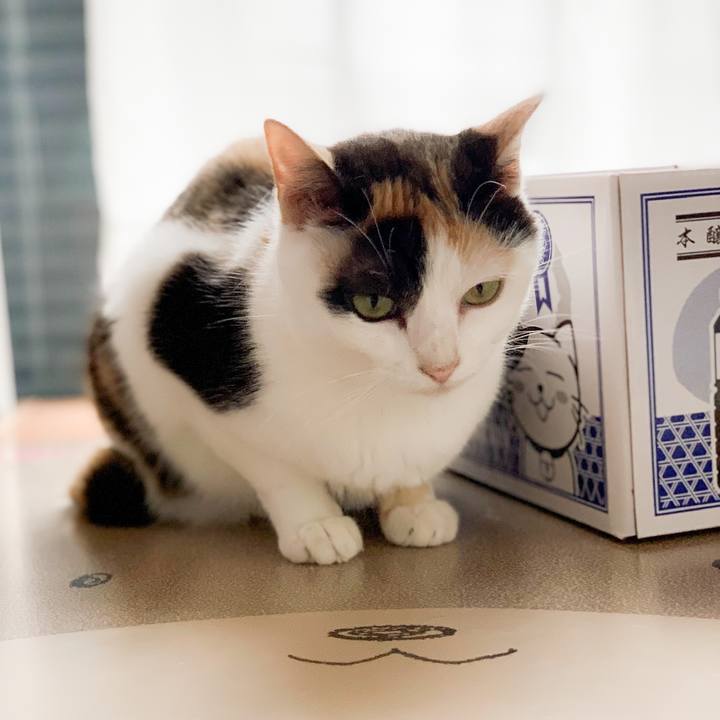 Ad3e06b2 1081 4f5c 9c40 babb86415334 1565227470894