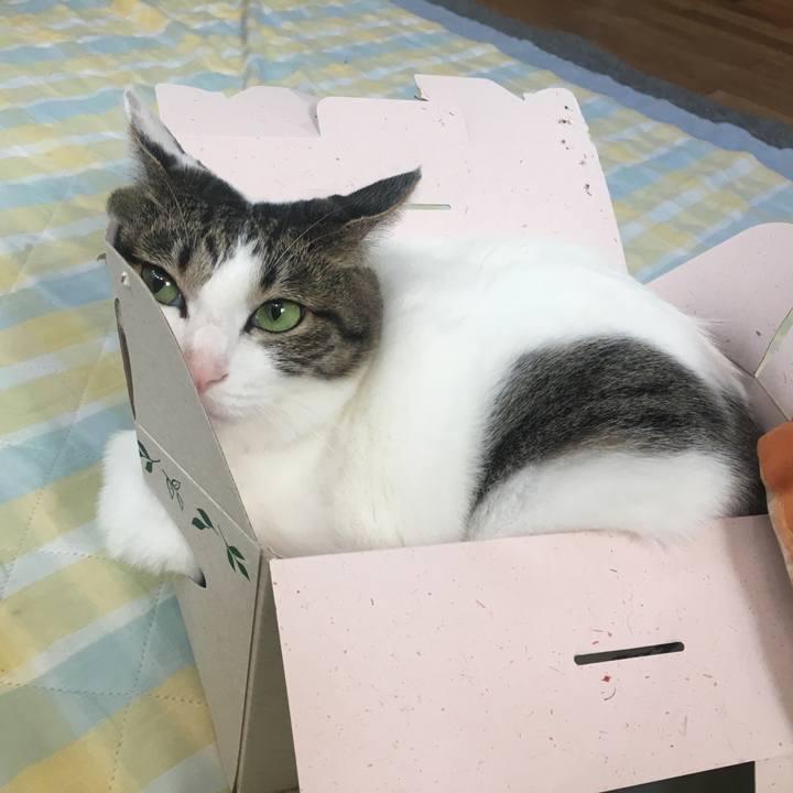 Ad3e0c5b 253b 476c 96dd a0c7145e5dae 1535176845291