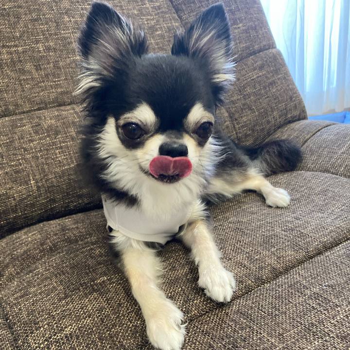 Ad3e6118 f67b 4d2f acbe 992097d39083 1692543034877