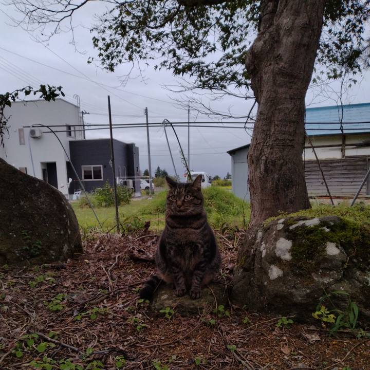 Ad3e6aa1 87bd 4307 964c 0b0359209121 1663663648647