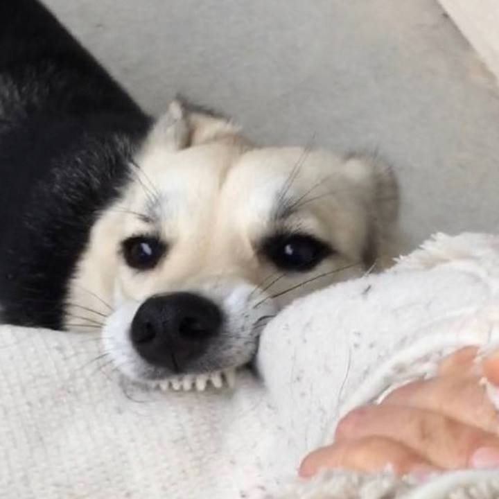 Ad3ef38e 9ff8 4de4 8ddf 30f479a0445d 1690121752900