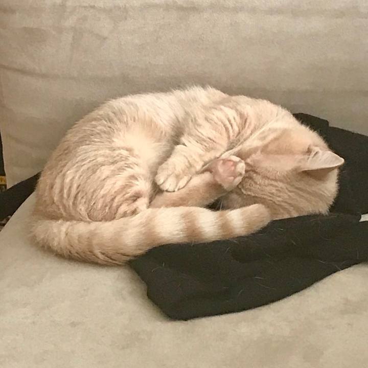 Ad3f025d 8b4b 4472 980b c5e0b4337887 1531037842280