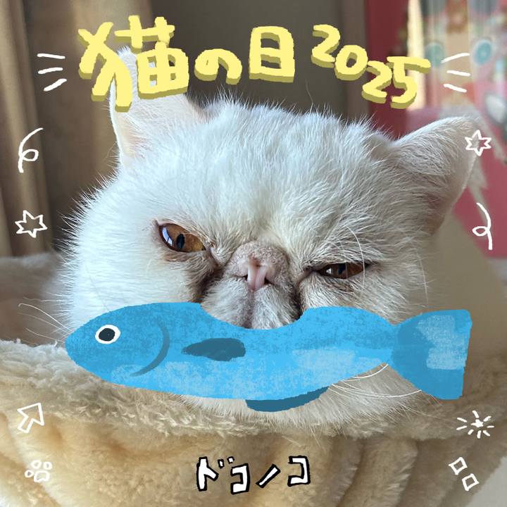 Ad3f9596 b78c 4ba9 9628 9dc6dd75166c 1740225131226