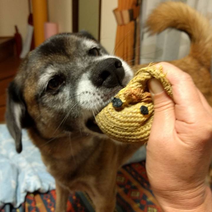 Ad4014bc 1ee0 45af 88b9 fd8042a319f8 1689813105017