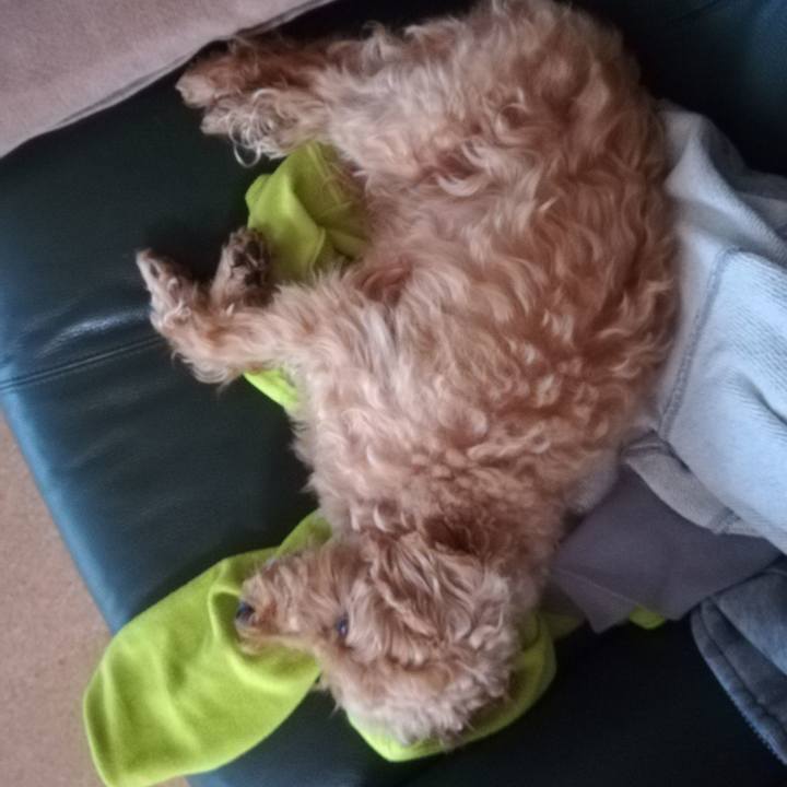 Ad4016a7 dac2 4182 9bb6 2fb703f214b1 1537790294240