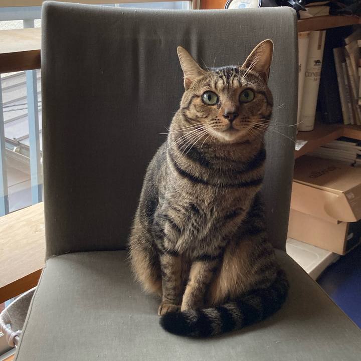 Ad40300a f25f 41bb aeee 824bb2a2e387 1696892362581