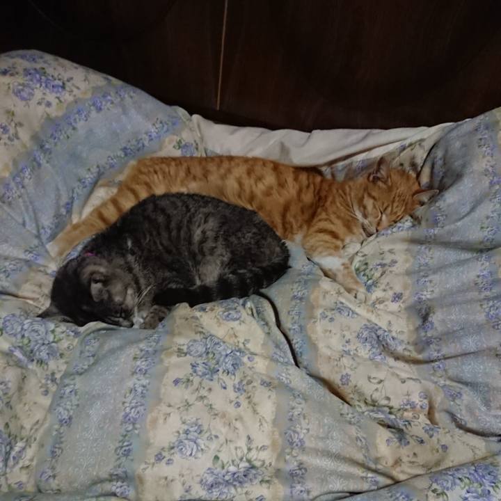 Ad4037ef 837f 43dc 9596 bab7b4ece398 1581685902977